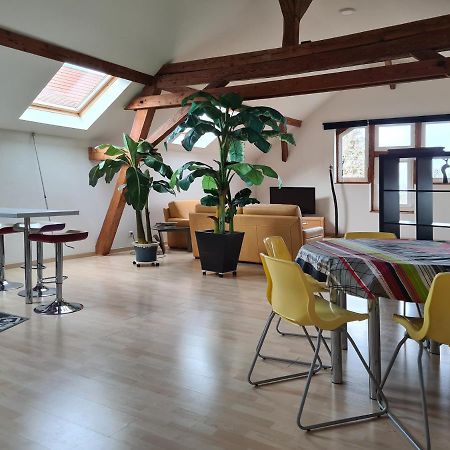 Villa Grange Des Arts Saint-Nabor Exterior foto