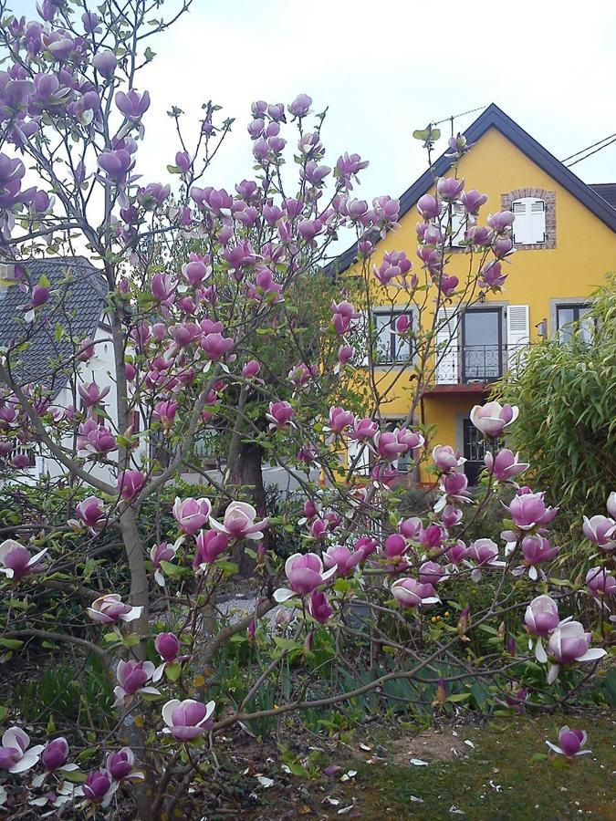 Villa Grange Des Arts Saint-Nabor Exterior foto
