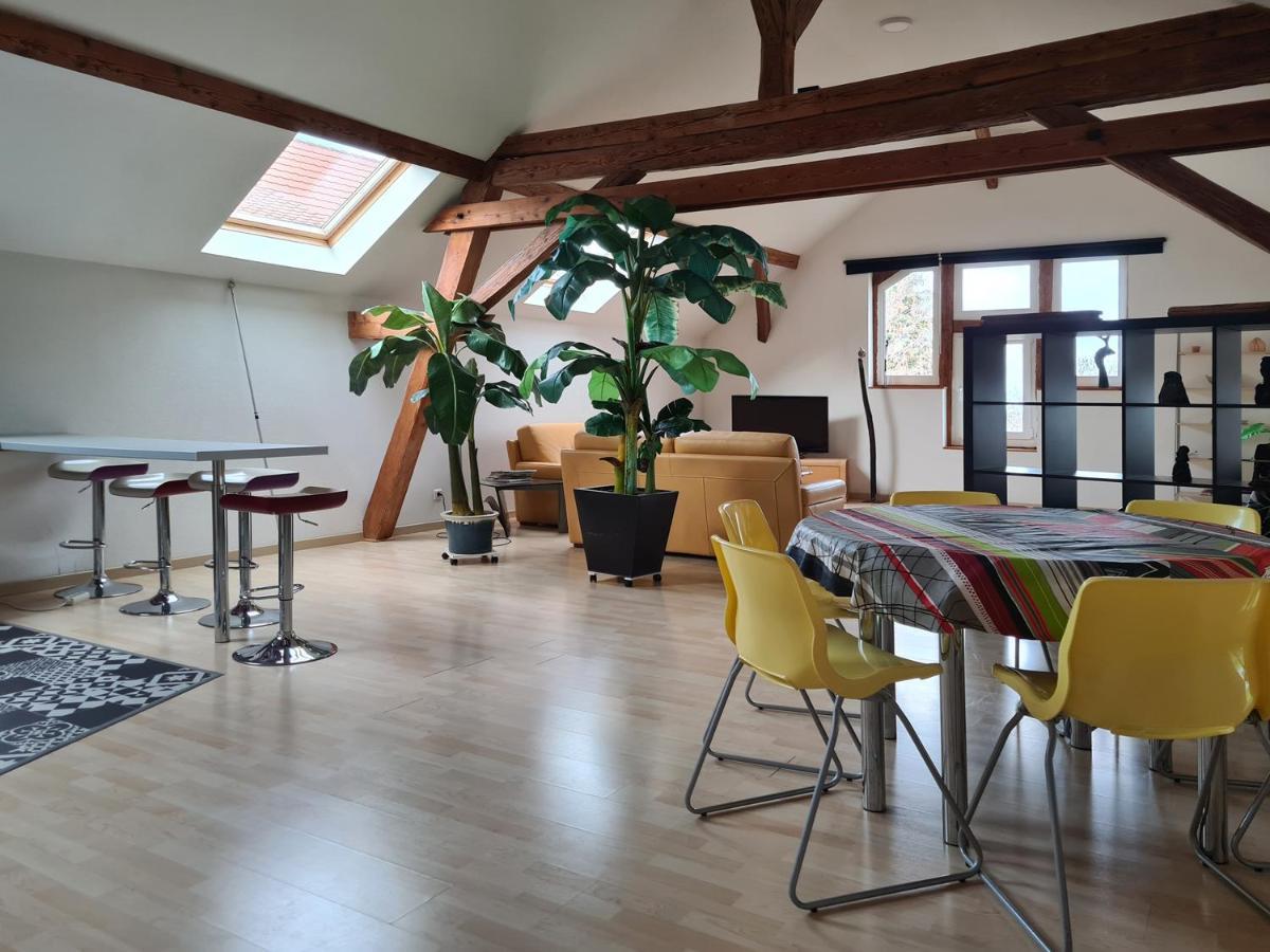 Villa Grange Des Arts Saint-Nabor Exterior foto